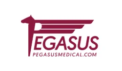 PEGASUS